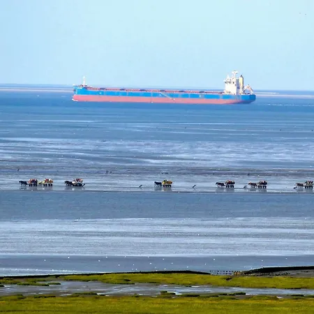Apartment Strandhochhaus Sj04