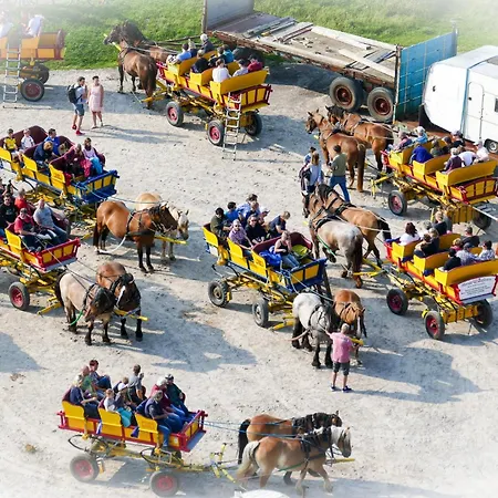Apartment Strandhochhaus Sj04 *